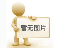 上銀XY軸直線電機(jī)